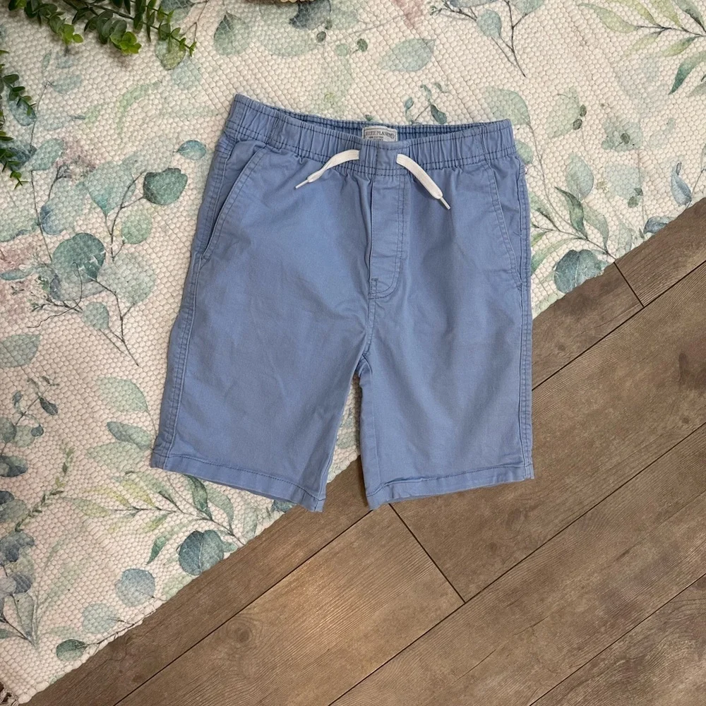 Men's Blue Casual Shorts